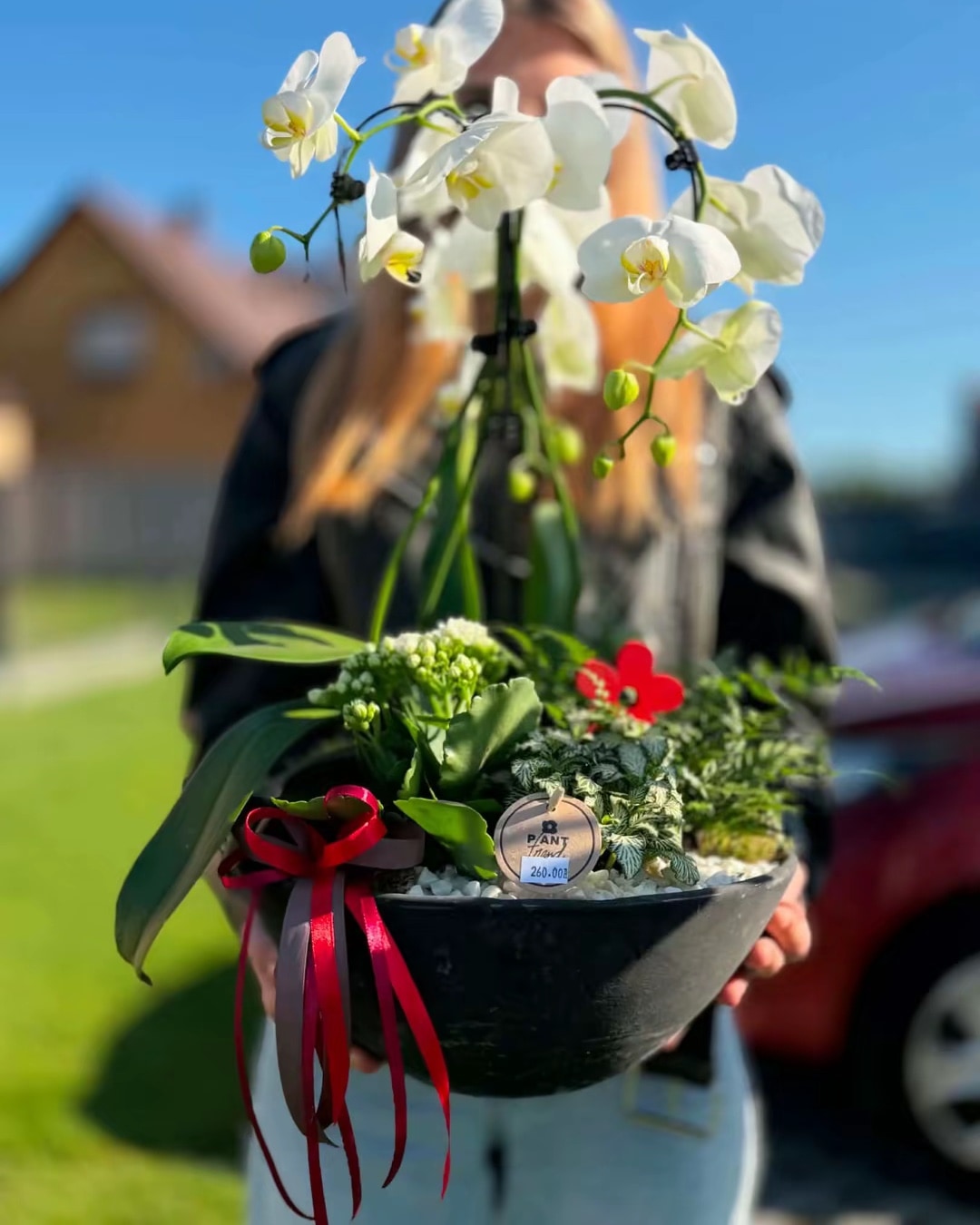 Elegancka kompozycja orchidei – bukiet kwiatów, lokalna kwiaciarnia, kompozycje kwiatowe