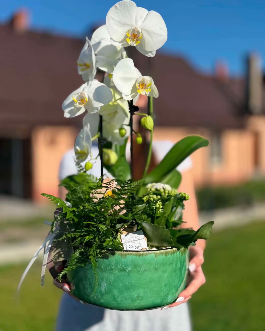 Elegancka kompozycja orchidei