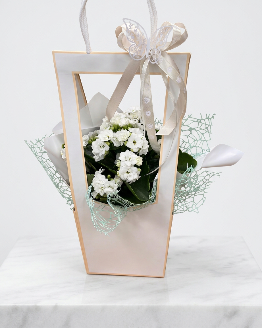 Kalanchoe w upominku – bukiet kwiatów, lokalna kwiaciarnia, kompozycje kwiatowe